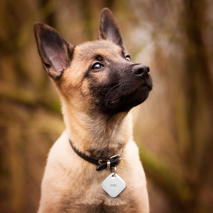 Smart Tag AGL rastreador localizador objeto gps Apple findMy