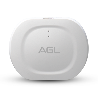 Central Zigbee inteligente zigbee smart wifi AGL